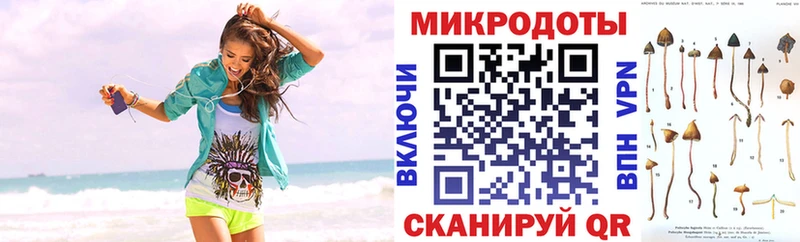 даркнет клад  Валдай  Галлюциногенные грибы Psilocybe 